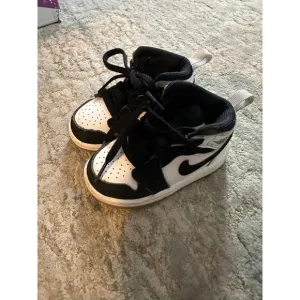 5C Nike Air Jordans high top sneakers