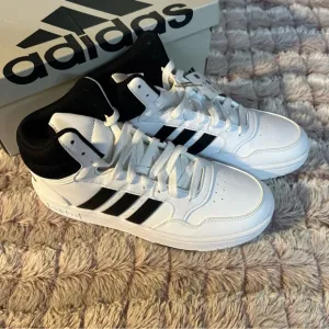 Adidas Hoops 3.0 sneakers size 5