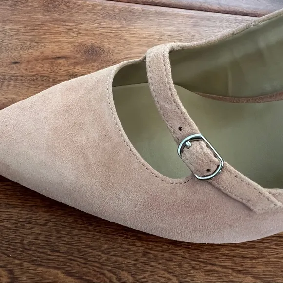 Ann Taylor Mila Mini Buckle Suede Pointed Toe Pumps Paloma Light Pink 9.5