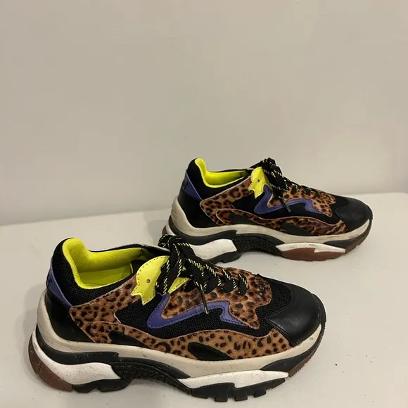 Ash Miles Cheetah Sneaker
