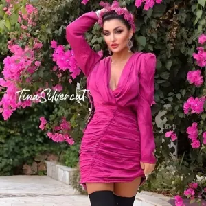 BLOGGER'S FAVE! Zara Printed Satin Fuchsia Mini Dress Sz XS NWT