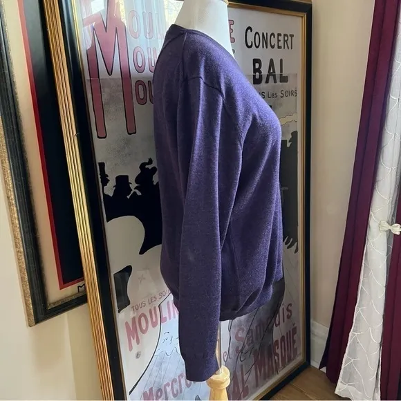 Calvin Klein 100% Extra Fine Merino Wool Royal Purple V-Neck   Sweater Size XL