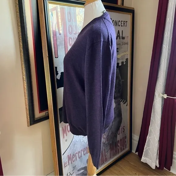 Calvin Klein 100% Extra Fine Merino Wool Royal Purple V-Neck   Sweater Size XL