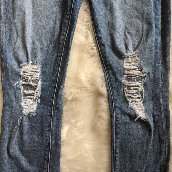 EUC Hudson Barbara High Waist Ankle Skinny Jean in Confection