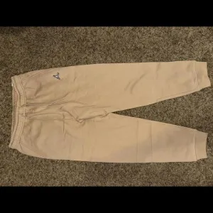Jordan Essential Fleece Joggers Pants Sample