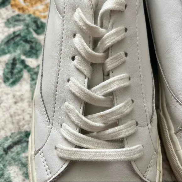 Madewell / Sidewalk Low-Top Sneakers in Leather