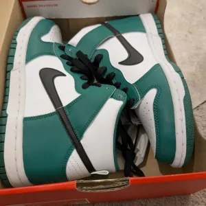 Nike Dunk High Brand New