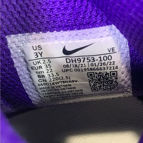 Nike Dunk High Electro Purple White Youth Kids Sneakers Shoe Size 3Y