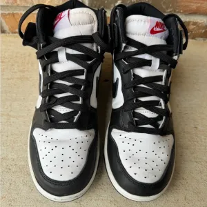 Nike Dunk High