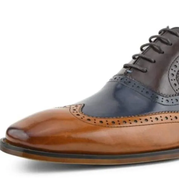 NWOT Asher Green, tricolored Wingtip, Men’s Size 9