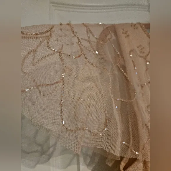 NWT Papell Studio Gorgeous Beaded Maxi Dress Flutter Sleeves Blush Womens 12