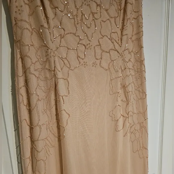 NWT Papell Studio Gorgeous Beaded Maxi Dress Flutter Sleeves Blush Womens 12