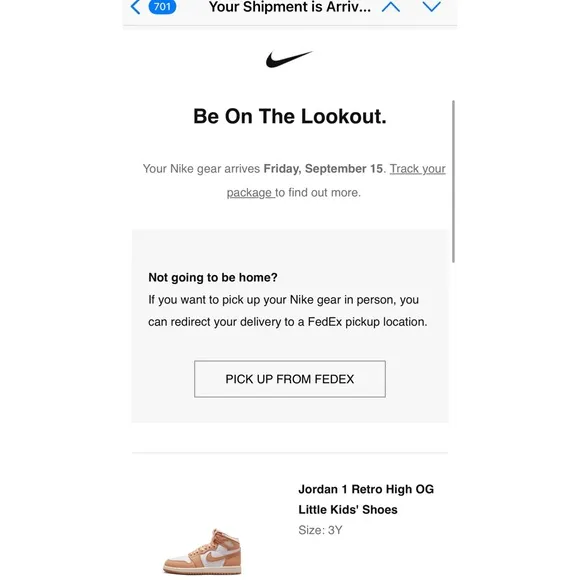 NWTS!!  Nike Jordan 1 Retro High OG Sneakers ROSE GOLD RIBBON LACES - Kid Size 3