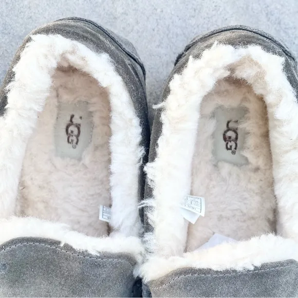 UGG Slippers Ascot