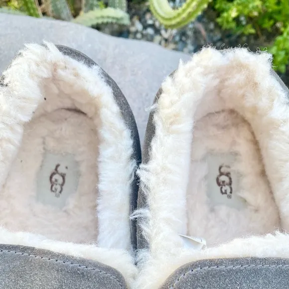 UGG Slippers Ascot