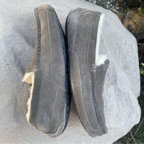 UGG Slippers Ascot