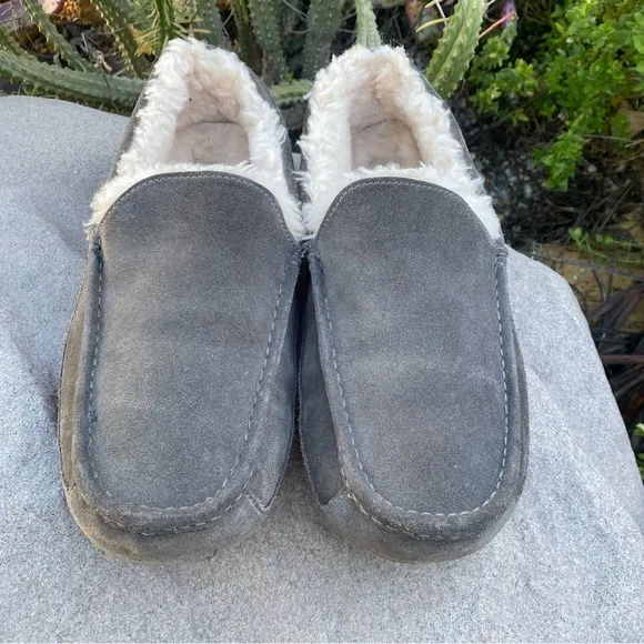 UGG Slippers Ascot