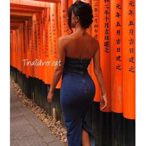 Zara Fitted ZW Denim Dress NW