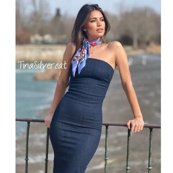 Zara Fitted ZW Denim Dress NW