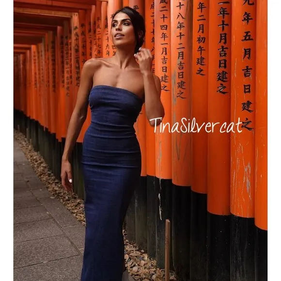 Zara Fitted ZW Denim Dress NW