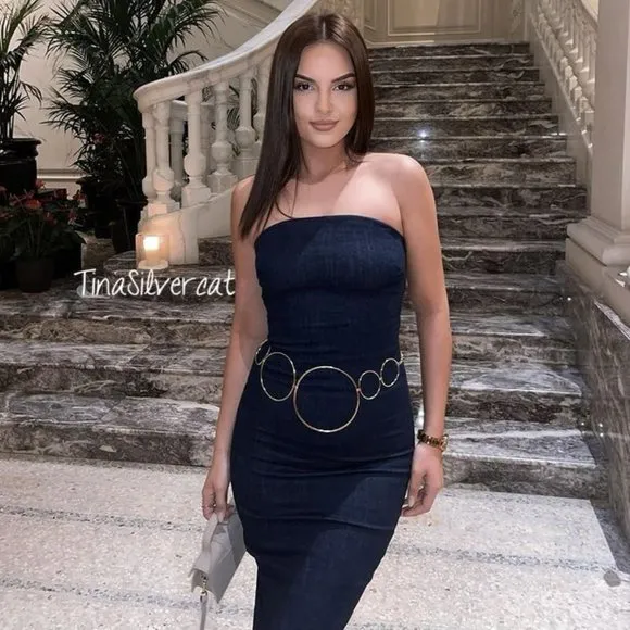 Zara Fitted ZW Denim Dress NW