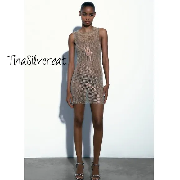 Zara Rhinestone Mesh Mini Dress Glass NWT